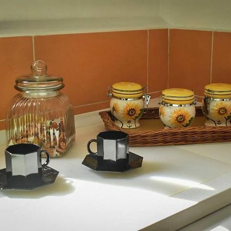 Apartman Aleksandra 乌尔齐尼 外观 照片